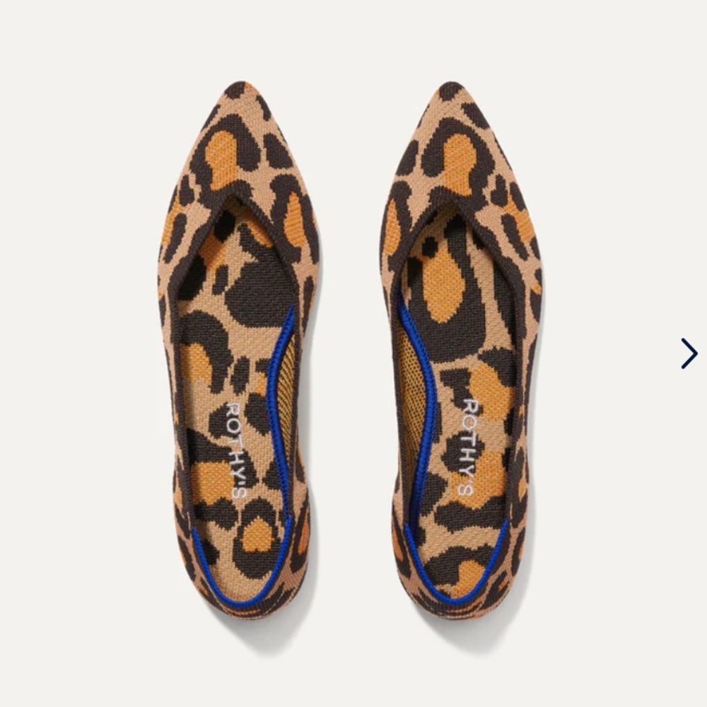 Rothys The Point Big Cat flats